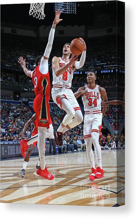 Chicago Bulls Canvas Print featuring the photograph Zach Lavine by Layne Murdoch Jr.