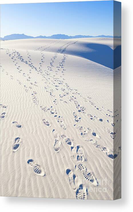 Chihuahuan Desert Canvas Print featuring the photograph White Sands Gypsum Dunes #10 by Raul Rodriguez