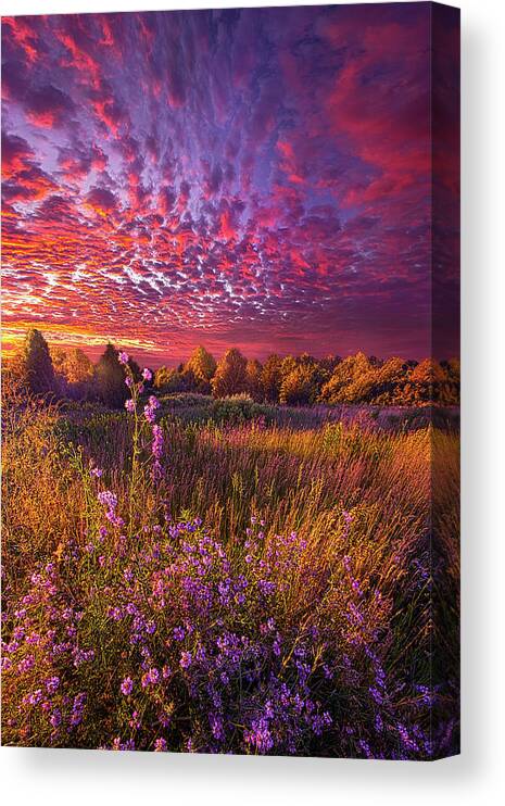Trending Canvas Print featuring the photograph Freedom #2 by Phil Koch