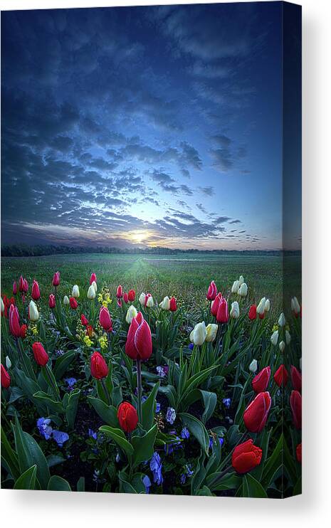 Unity Canvas Print featuring the photograph Mothers Day #2 by Phil Koch