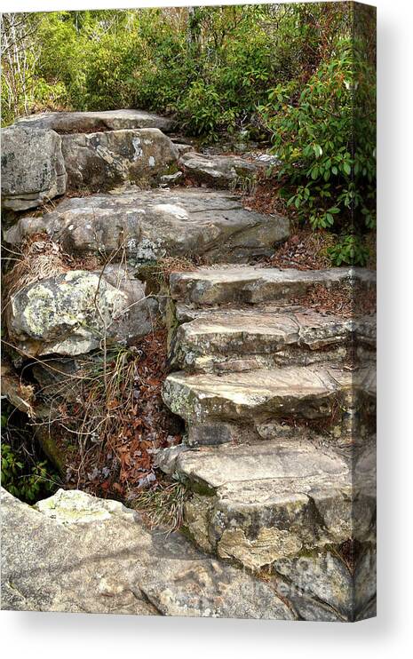 Hike Canvas Print featuring the photograph Steps Into The Forest by Phil Perkins