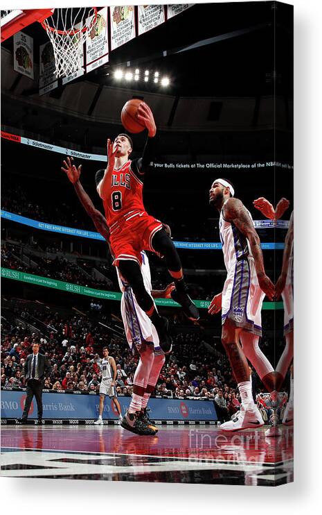 Chicago Bulls Canvas Print featuring the photograph Zach Lavine by Jeff Haynes