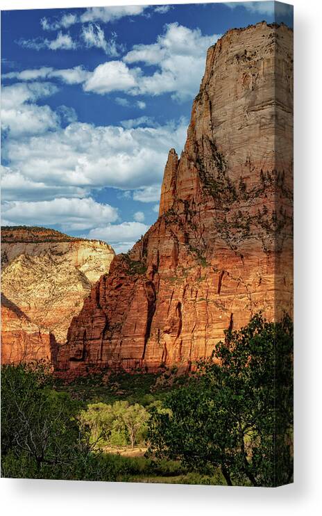 Landscape Canvas Print featuring the photograph Zion National Park In Utah #2 by Jim Vallee