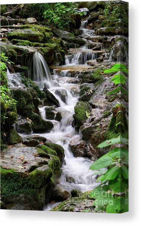 Water Canvas Print featuring the photograph Running Water by Phil Perkins