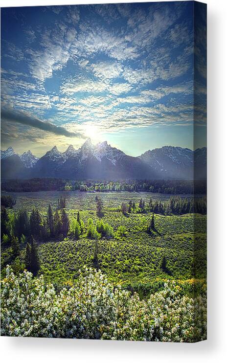 Light Canvas Print featuring the photograph The Grand Tetons #4 by Phil Koch