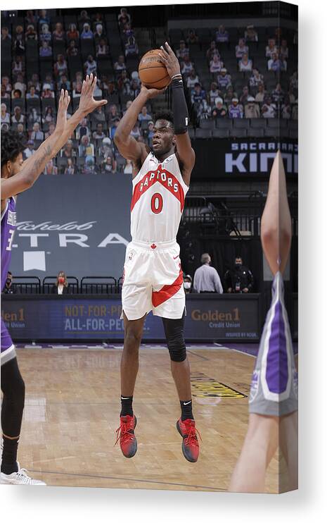 Terence Davis Canvas Print featuring the photograph Toronto Raptors v Sacramento Kings #3 by Rocky Widner