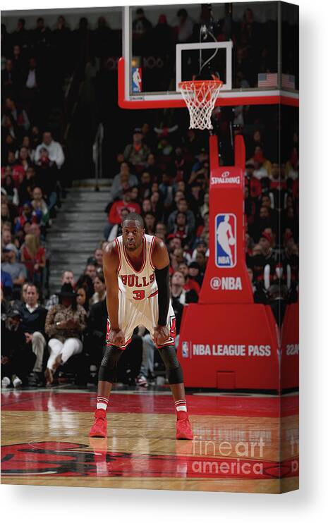 Nba Pro Basketball Canvas Print featuring the photograph Dwyane Wade by Gary Dineen