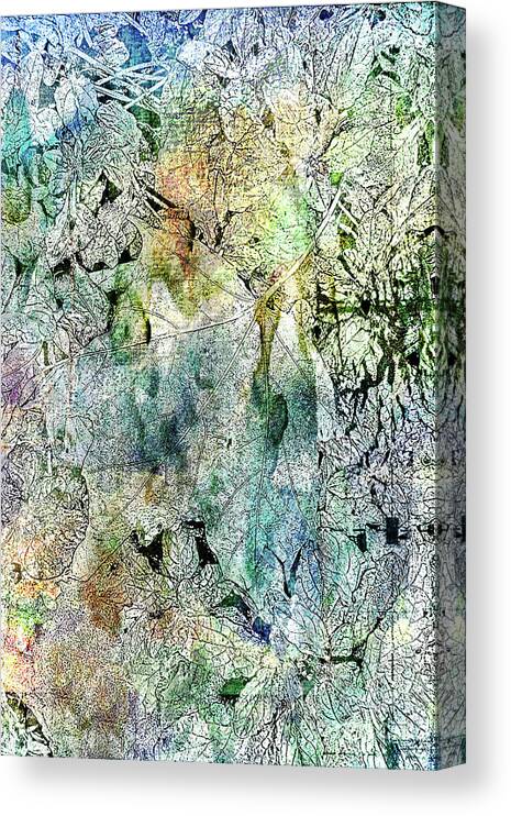 Abstract Canvas Print featuring the photograph 4681b by Burney Lieberman