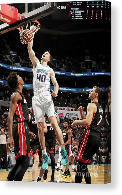 Nba Pro Basketball Canvas Print featuring the photograph Cody Zeller by Kent Smith
