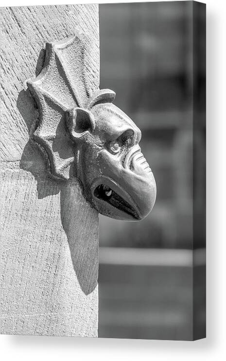 Architecture Canvas Print featuring the photograph A Grotesque in Strasbourg - 3 by W Chris Fooshee