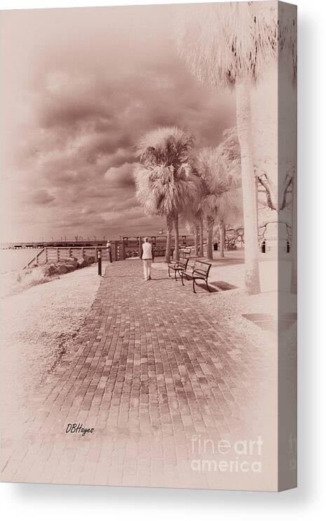 Black & White Canvas Print featuring the photograph A Stroll In The Park by DB Hayes