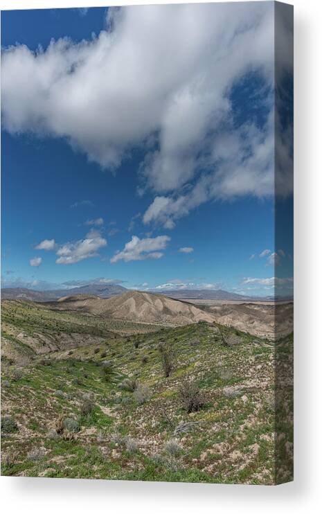 Anza-borrego Desert State Park Canvas Print featuring the photograph Abd108 by TM Schultze