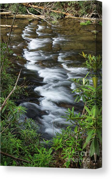 Abrams Falls Canvas Print featuring the photograph Abrams Creek 2 by Phil Perkins