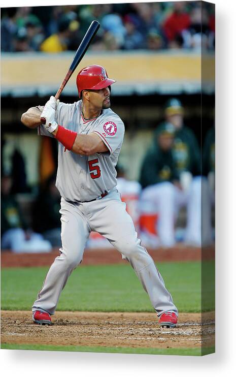 People Canvas Print featuring the photograph Albert Pujols by Brian Bahr