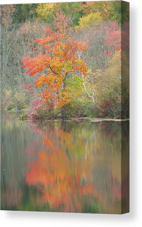 Fall Canvas Print featuring the photograph Along Rice Road by Jean-Pierre Ducondi