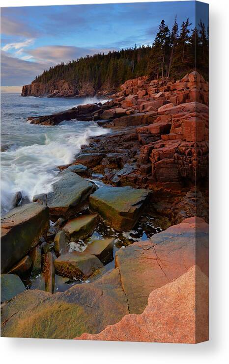 Acadia Canvas Print featuring the photograph Along The Acadia Coast by Stephen Vecchiotti