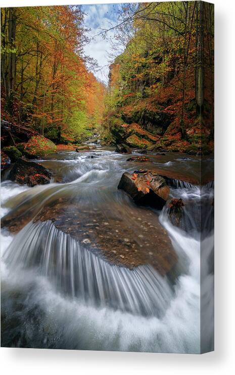 Nature Canvas Print featuring the photograph An autumn dream by Cosmin Stan