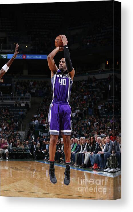 Arron Afflalo Canvas Print featuring the photograph Arron Afflalo by Gary Dineen