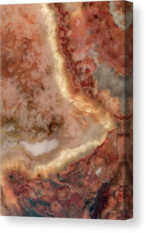 Abstract Canvas Print featuring the photograph Art in Nature by Leland D Howard