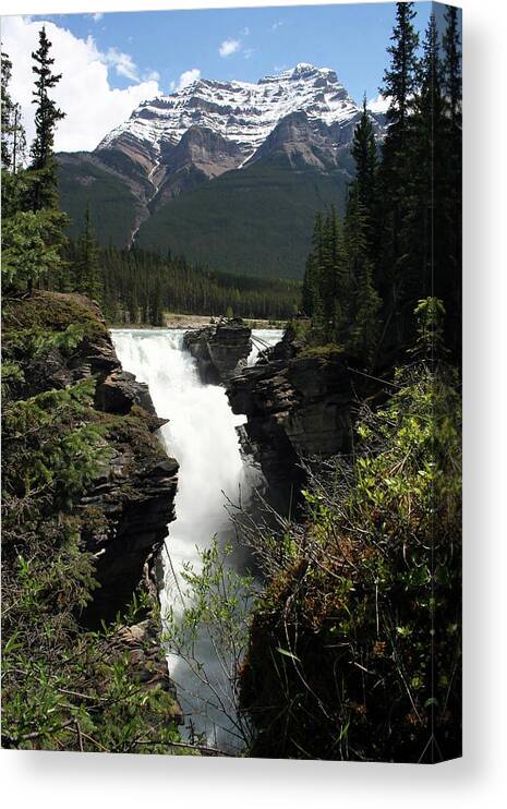Waterfalls Canvas Print featuring the photograph Athasbasca Falls by Mary Gaines