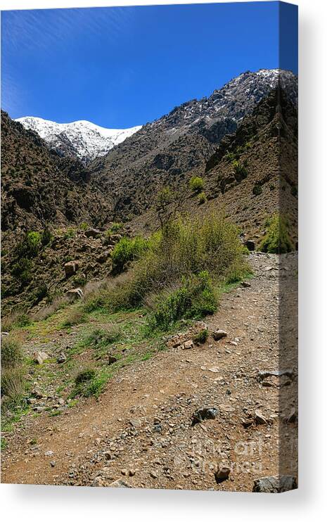 Morocco Canvas Print featuring the photograph Atlas Mountains in Morocco by Olivier Le Queinec