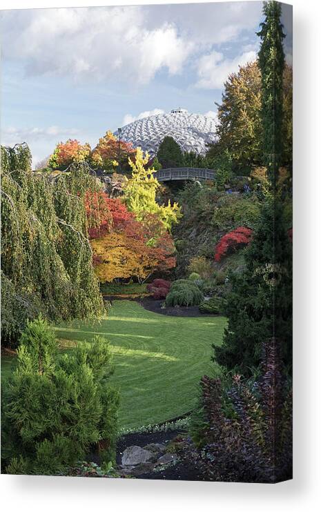 Queen Elizabeth Park Canvas Print featuring the photograph Autumn at the Quarry Gardens in QE Park by Michael Russell