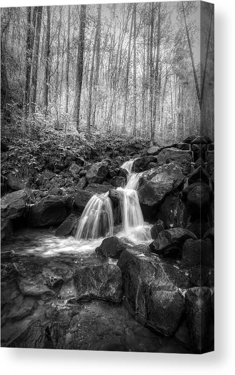 Mountains Canvas Print featuring the photograph Autumn Cascades of Amicalola Falls Black and White by Debra and Dave Vanderlaan