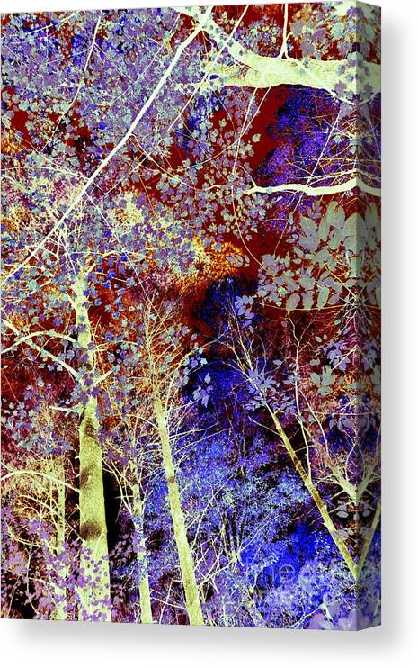 Autumn Canvas Print featuring the photograph Autumn Collage Abstract by Terri Gostola
