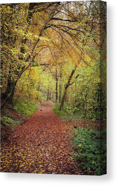 Cardiff Canvas Print featuring the photograph Autumn, in a nutshell by Gavin Lewis
