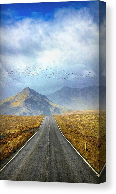 Clouds Canvas Print featuring the photograph Autumn Roadways in Iceland by Debra and Dave Vanderlaan
