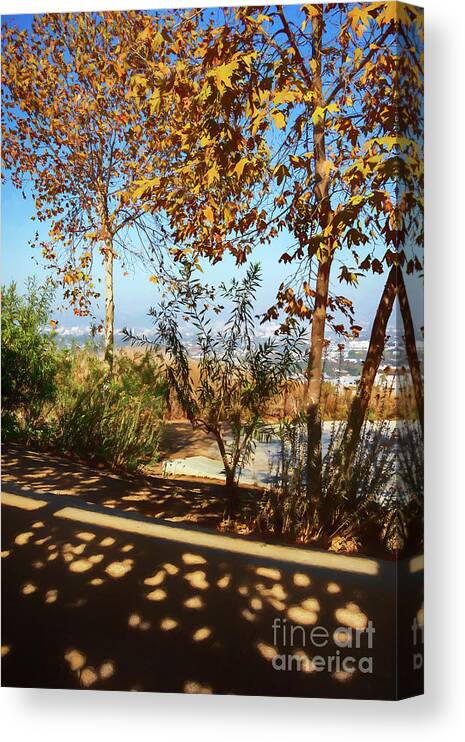 Trees Canvas Print featuring the photograph Autumn Trees with Dry Leaves with Shadows on Ground by Roslyn Wilkins