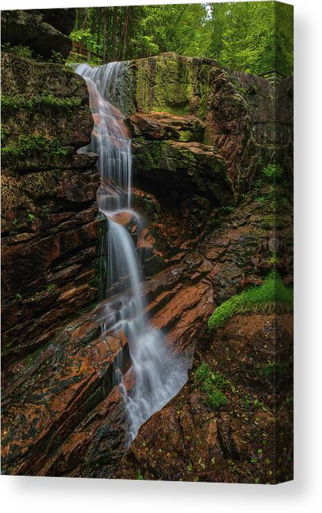 New Hampshire Waterfall Canvas Print featuring the photograph Avalanche Falls at Franconia Notch State Park by Juergen Roth