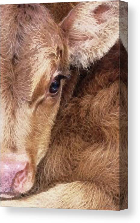 Calf Canvas Print featuring the painting Baby Cow Calf Art - New Life by Sharon Cummings