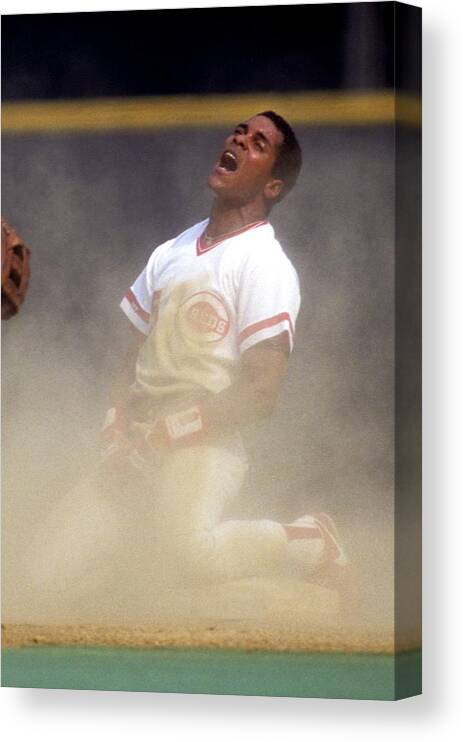 1980-1989 Canvas Print featuring the photograph Barry Larkin by Ronald C. Modra/sports Imagery