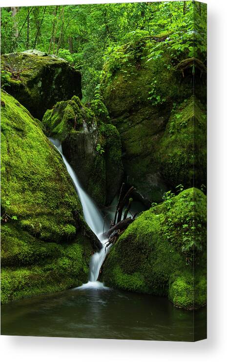 Great Smoky Mountains National Park Canvas Print featuring the photograph Below 1000 Drips 1 by Melissa Southern