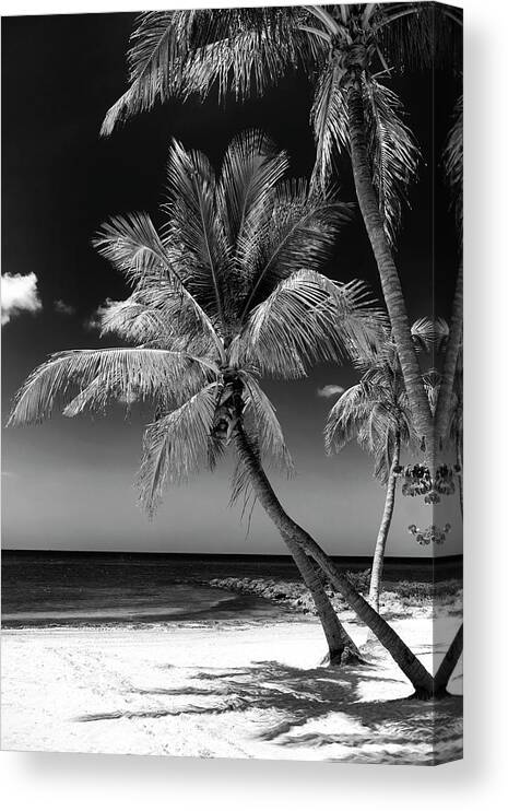 Florida Canvas Print featuring the photograph Black Florida Series - Key West Beach by Philippe HUGONNARD