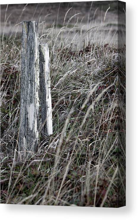 Minimalism Canvas Print featuring the photograph Bleached Wood by Kandy Hurley