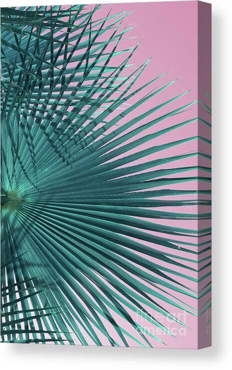 Palm Leaf Canvas Print featuring the photograph Blue-green palm leaf and pink sky, beach season by Adriana Mueller