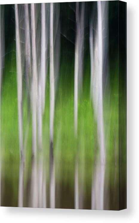 Jordan Lake Canvas Print featuring the photograph Blurred Reflection by Melissa Southern