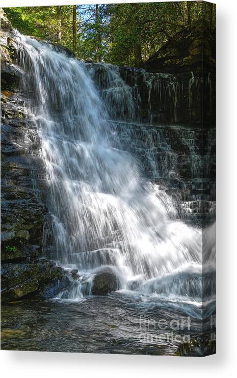  Canvas Print featuring the photograph Boardtree Falls 2 by Phil Perkins
