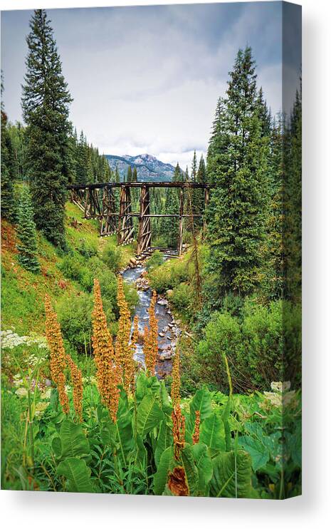 Mountain Canvas Print featuring the photograph Bridge down a Backroad by Go and Flow Photos
