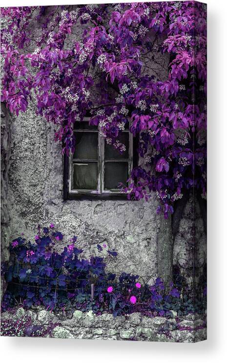 Girls Bedroom Canvas Print featuring the photograph Bright Purple Vines by Brooke T Ryan