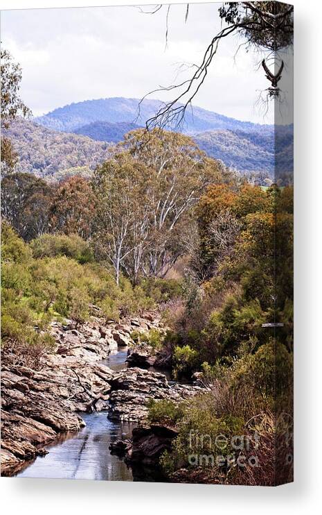 River Canvas Print featuring the photograph Buffalo River by Linda Lees