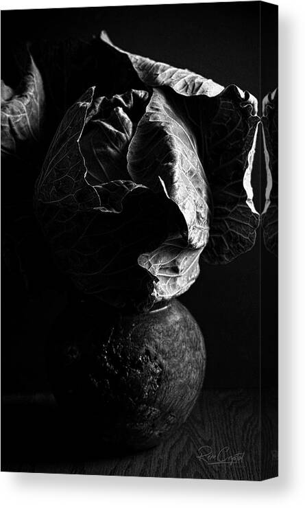 Cabbage Canvas Print featuring the photograph Cabbage Head In BW by Rene Crystal