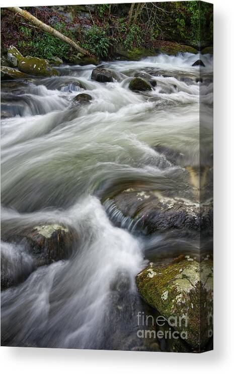 Middle Prong Little River Canvas Print featuring the photograph Carving a Path by Phil Perkins