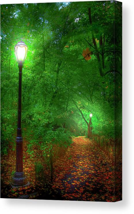 New York City Canvas Print featuring the photograph Central Park Ramble by Mark Andrew Thomas
