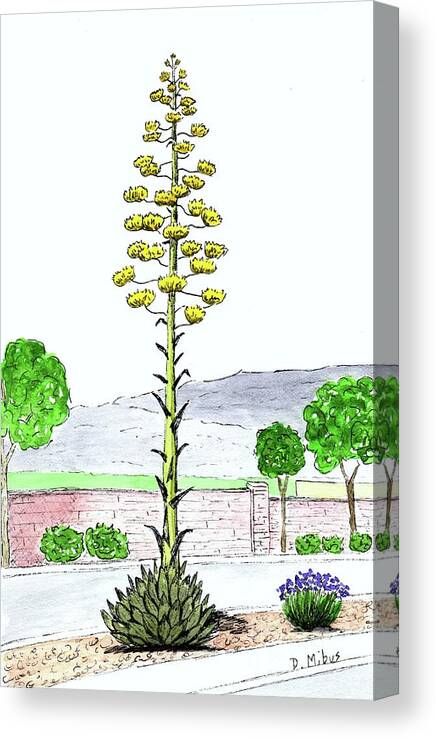 Watercolor And Ink Canvas Print featuring the painting Century Plant by Donna Mibus