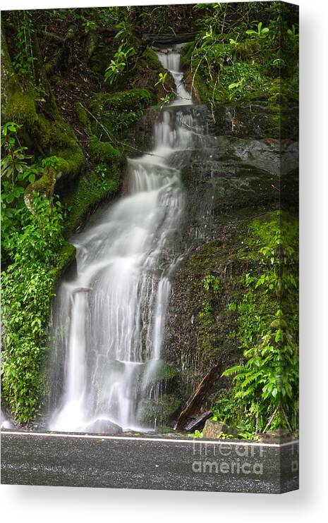 Cliff Branch Falls Canvas Print featuring the photograph Cliff Branch Falls by Phil Perkins