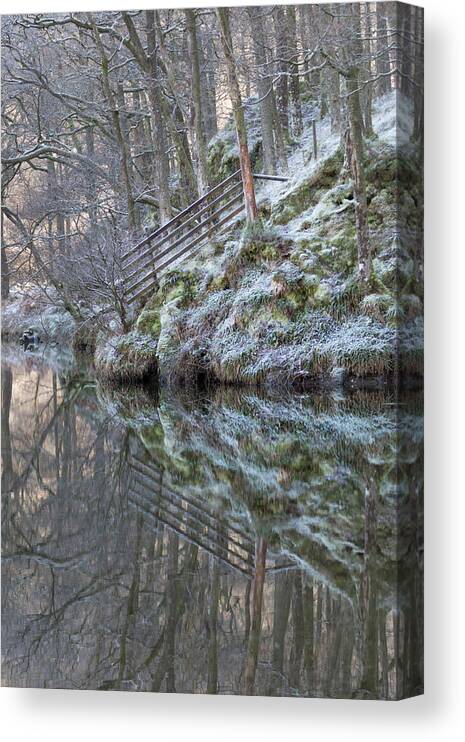Cold Canvas Print featuring the photograph Cold Reflections by Anita Nicholson