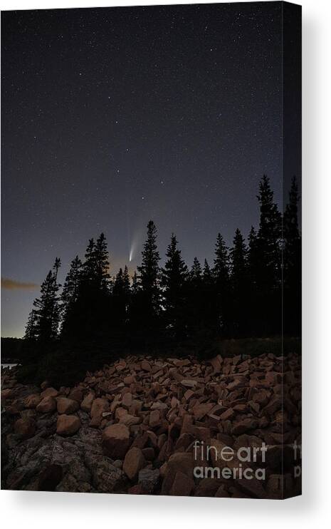 Acadia National Park Canvas Print featuring the photograph Comet NEOWISE In Acadia National Park by Michael Ver Sprill